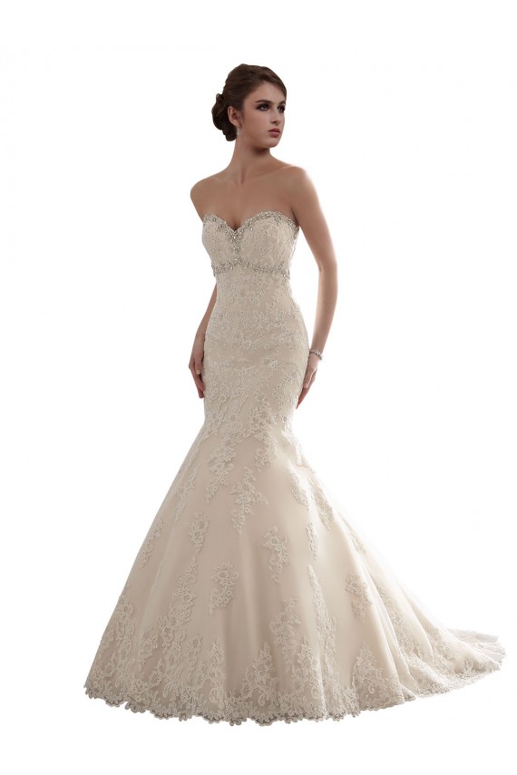 Vendedor de Amor Tule & Renda Sem Mangas Marfim Longo Vestidos de Noiva